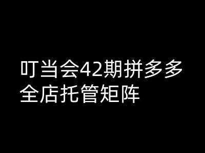 叮当会拼多多打爆班原创高阶技术第42期，拼多多全店托管矩阵-富业网创