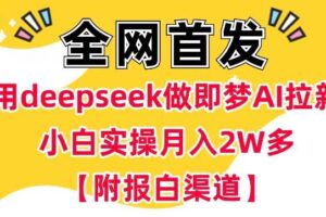 用deepseek做即梦Ai拉新 小白实操月入过W+【附报白渠道】