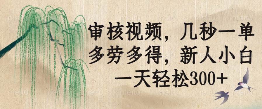 （14202期）审核视频，几秒一单，多劳多得，新人小白一天轻松300+