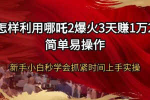 （14245期）怎样利用哪吒2爆火3天赚1万2简单易操作新手小白秒学会抓紧时间上手实操