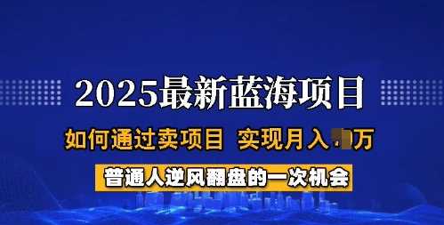 2025蓝海项目，普通人如何通过卖项目，实现月入过W，全过程【揭秘】-富业网创