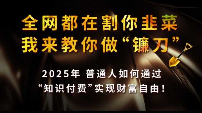 全网都在割你韭菜，我来教你做镰刀,2025普通人如何通过知识付费，实现财F自由【揭秘】-富业网创