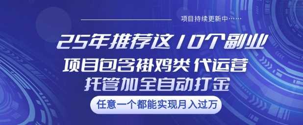 25年推荐这10个副业项目包含褂鸡类、代运营托管类、全自动打金类【揭秘】-富业网创