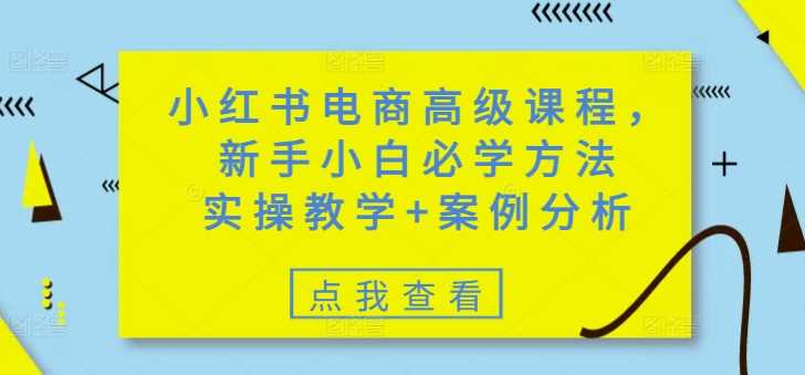 小红书电商高级课程，新手小白必学方法，实操教学+案例分析-富业网创