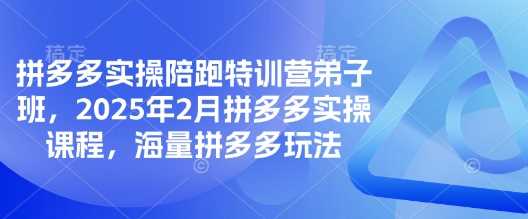 拼多多实操陪跑特训营弟子班，2025年2月拼多多实操课程，海量拼多多玩法-富业网创