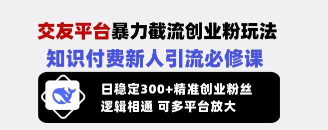 交友平台暴力截流创业粉玩法，知识付费新人引流必修课，日稳定300+精准创业粉丝，逻辑相通可多平台放大-富业网创