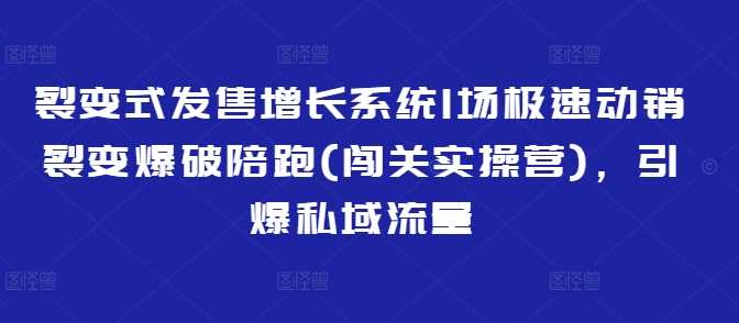 裂变式发售增长系统1场极速动销裂变爆破陪跑(闯关实操营)，引爆私域流量-富业网创