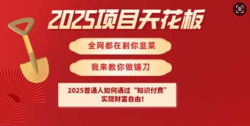 2025项目天花板普通人如何通过知识付费，实现财F自由【揭秘】-富业网创