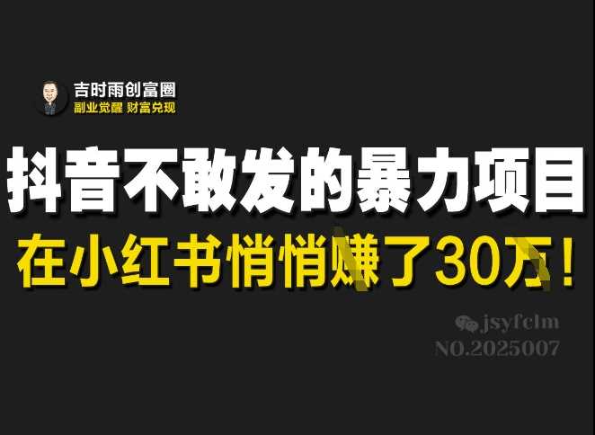 抖音不敢发的暴利项目，在小红书悄悄挣了30W-富业网创