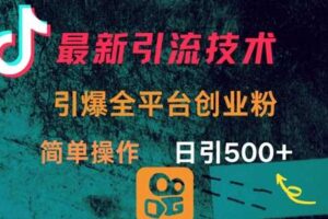 最新引流方法，引爆全平台的一个创业粉，简单操作日引300+