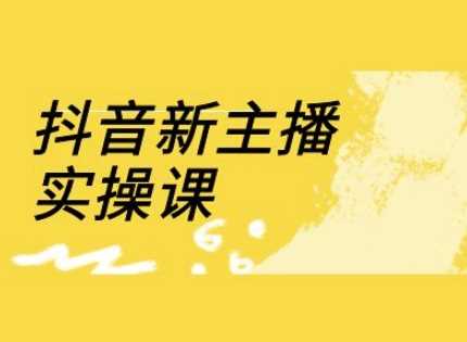 抖音新主播实操课，直播间流量运营线上实操课(18节)