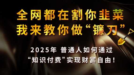 全网都在割你韭菜，我来教你做镰刀，2025普通人如何通过知识付费，实现财F自由【揭秘】