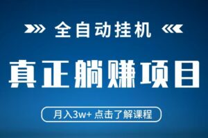 全自动挂机项目 月入3w+ 真正躺平项目 不吃电脑配置 当天见收益