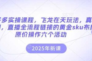 拼多多实操课程，飞龙在天玩法，真实案例，直播全流程链接的黄金sku布局原价操作六个活动