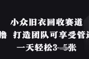 小众旧衣回收赛道，纯零撸 打造团队可享受管道收益，一天轻松3张