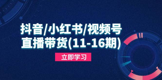 （14611期）抖音/小红书/视频号/直播带货(11-16期)，快速掌握平台规则，打造爆款内容