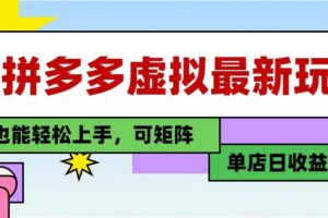 25最新拼多多虚拟电商，单店日入3位数， 小白也能快速上手，保姆级教程