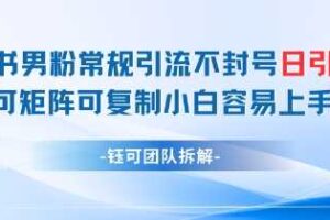 小红书男粉常规引流不封号日引99+变现简单 可矩阵可复制小白容易上手