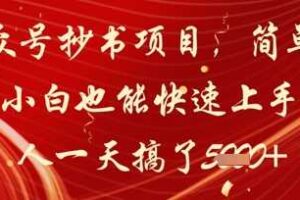 公众号抄书项目，简单粗暴，小白也能快速上手，有人一天搞了1k+