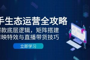 （14728期）快手生态运营全攻略：爆款底层逻辑，矩阵搭建，剪映特效与直播带货技巧
