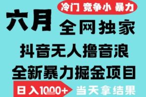 2025年6月高爆抖音无人直播最新撸音浪掘金项目，无脑日入1k+，低门槛小白可做，可矩阵放大【揭秘】