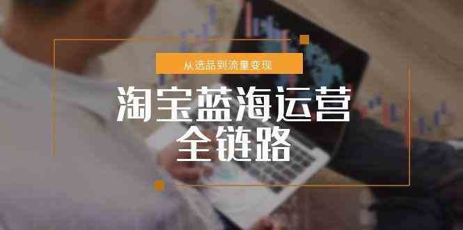 淘宝蓝海运营全链路，从选品到流量变现，小类目突围完整方案