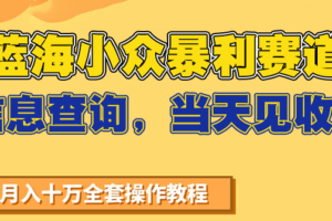 蓝海小众暴利赛道，信息查询，当天见收益，不讲玄学，7天搞了2万+