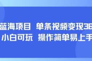 8月AI蓝海项目，单条视频变现1k+ 小白可玩 操作简单易上手