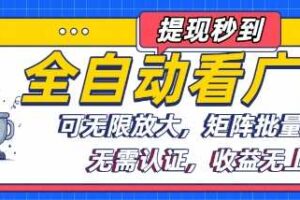 全自动看广告项目，可无限放大，可矩阵批量操作