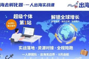 出海去孵化器，一人出海实战课，​超级个体第1站，解锁全球增长