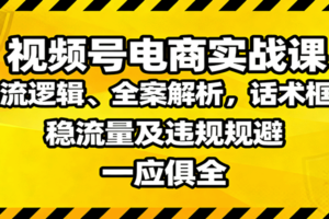 视频号电商实战课：推流逻辑、全案解析，话术框架，稳流量及违规规避等