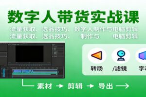 数字人变现实战课：流量获取、选品技巧、数字人制作与电脑剪辑