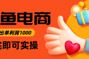 闲鱼高利润电商，当天上架当天出单，一单利润300＋