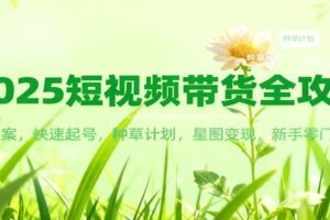 2025短视频带货全攻略:爆款文案,快速起号,种草计划,星图变现,新手零门槛上手