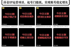 抖音IP运营项目，抖音今日主题玩法，起号门槛低，实现账号稳定增长