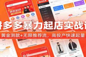 拼多多暴力起店实战课：黄金测款+无限推荐流，高投产快速起量