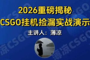 CSGO游戏挂G游戏搬砖最新升级,普通小白一部手机可日入3张+当天见结果,支持验证【揭秘】