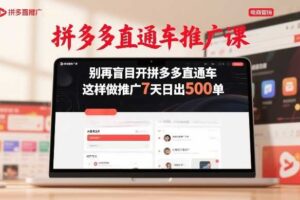 拼多多直通车推广课,别再盲目开拼多多直通车,这样做推广7天日出500单