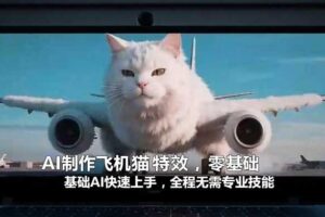 AI制作飞机猫特效，零基础AI快速上手，全程无需专业技能