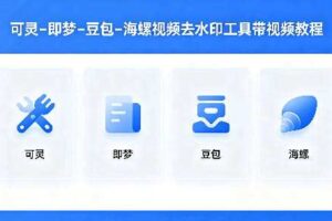 可灵–即梦–豆包–海螺视频去水印工具带视频教程