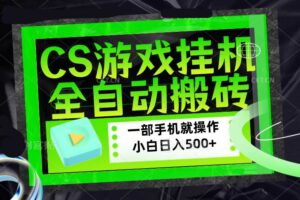（17876期）CSGO游戏挂机捡漏搬砖，超稳定的项目，带领1000+小白实现日入500+，数据可视频验证